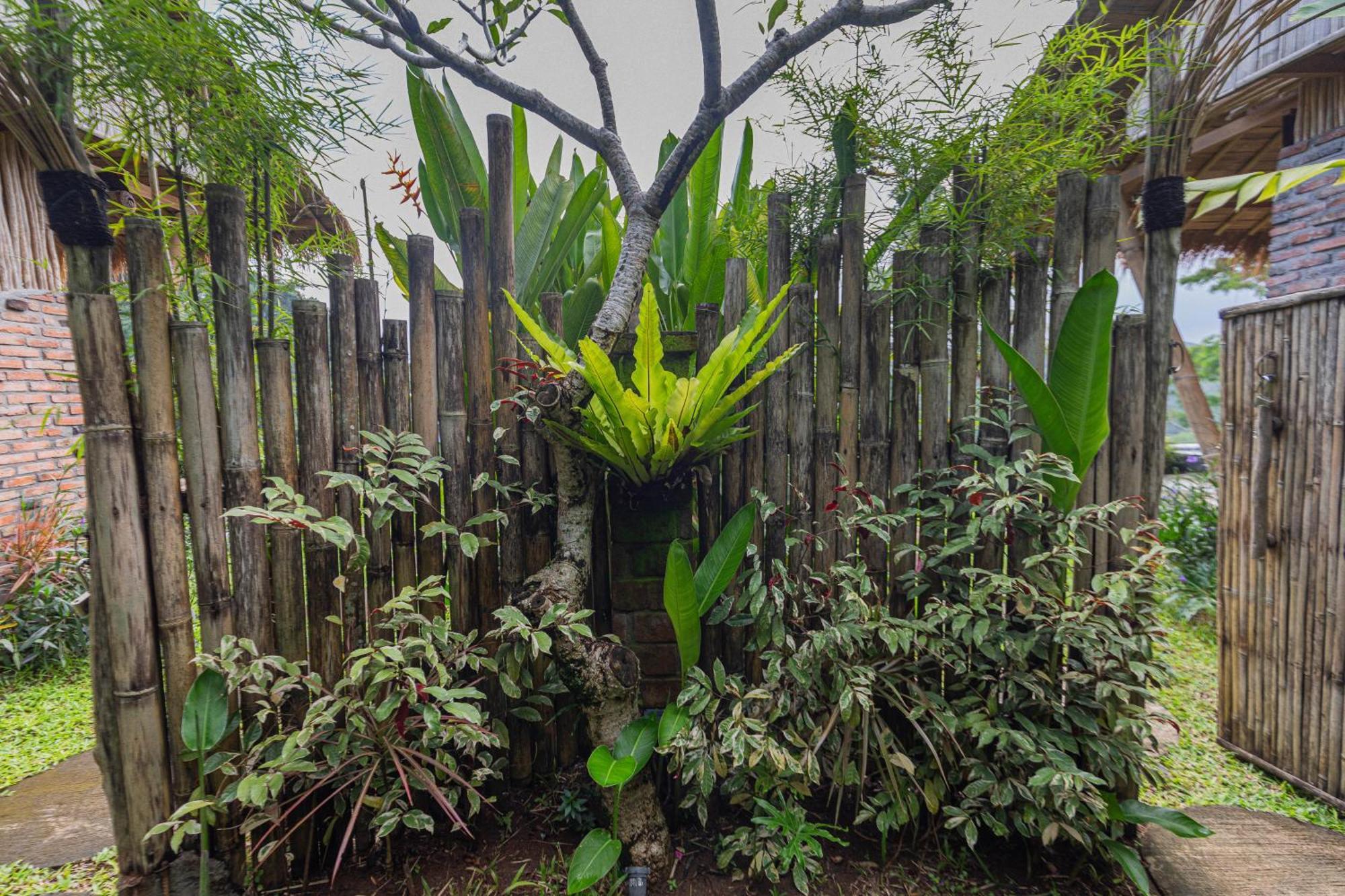 Shigar Livin Bali Villa Sidemen  Luaran gambar